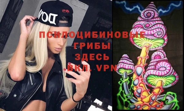 твердый Волоколамск