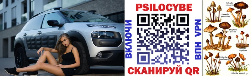 Купить где  Далматово  Галлюциногенные грибы ЛСД 