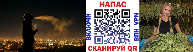 Купить Далматово Конопля индика